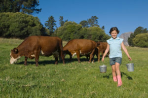 latte bambino fattoria