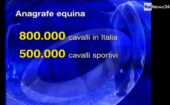 cavallo-rai