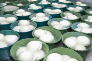 MOZZARELLE CONTENITORE