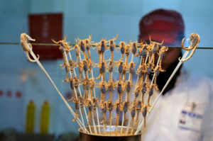 scorpioni insetti pechino