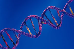 dna