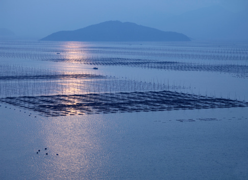 acquacoltura, allevamento pesci