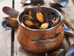 allerta cozze mitili mare 164162735