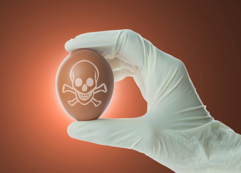 Una mano guantata tiene un uovo con disegnato un teschio; concept: allerta alimentare