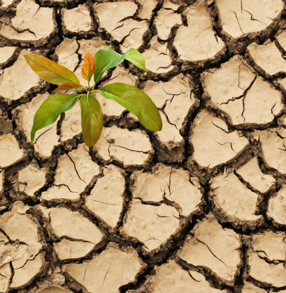 siccità
