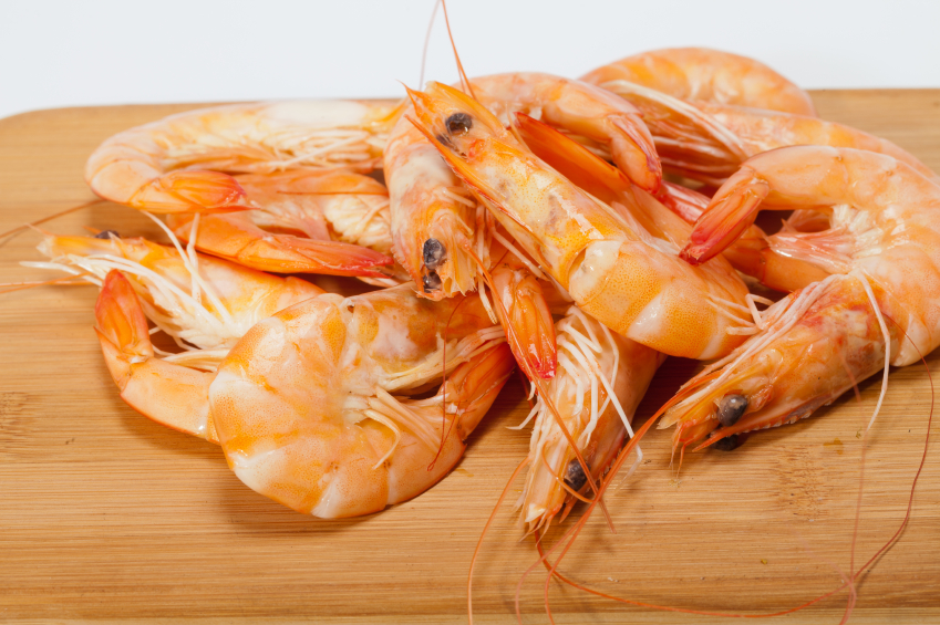 fresh shrimp isolated on a white background