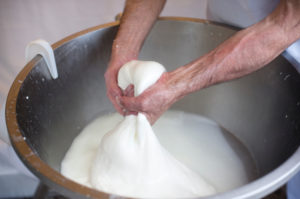 mozzarella di bufala