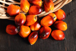 olio di palma latte artificiale