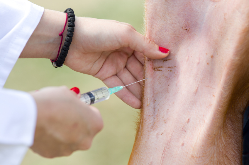 antibiotico-resistenza