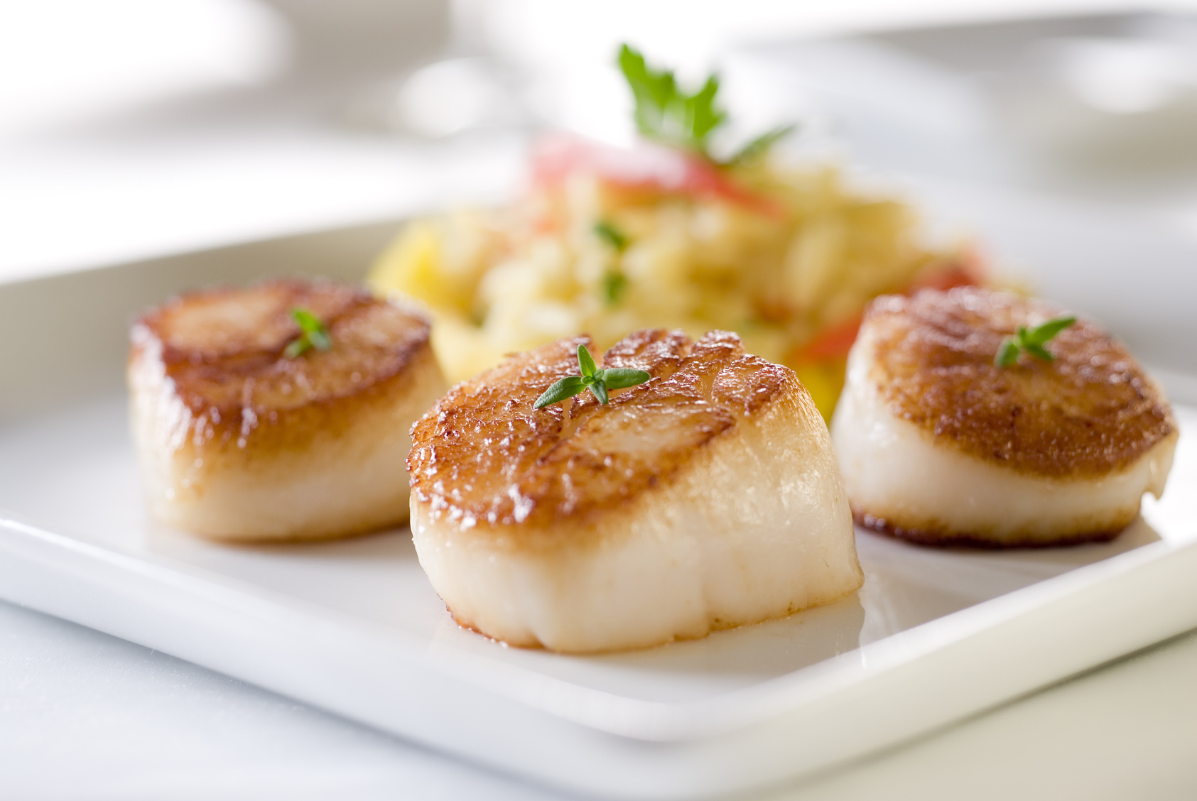 Seared sea scallops with orzo and vegetables.