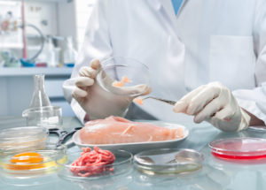 sicurezza alimentare qualita analisi laboratorio pollo