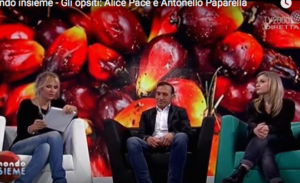 olio di palma licia colo