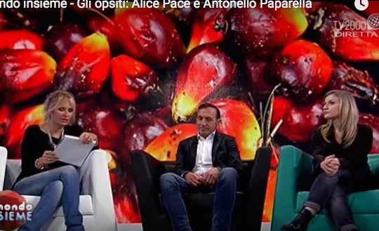 olio di palma licia colo