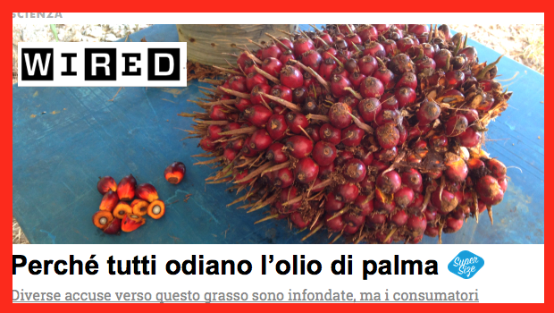 olio di palma wired