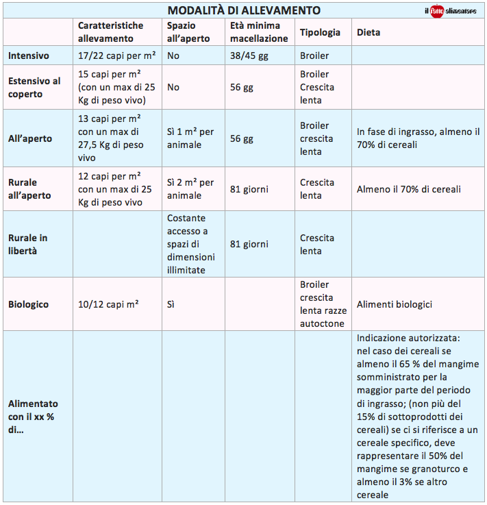 polli tabella allevamento carne