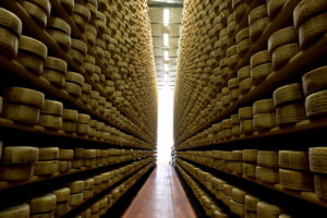 Forme di formaggio Asiago durante la stagionatura