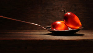 Due frutti di palma da olio su un cucchiaio; concept: olio di palma