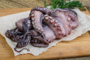 Raw octopus polpo pesce