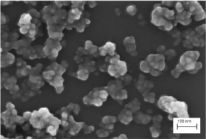 nanoparticelle biossido di silicio