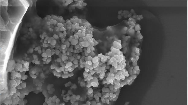 nanoparticelle biossido di titanio