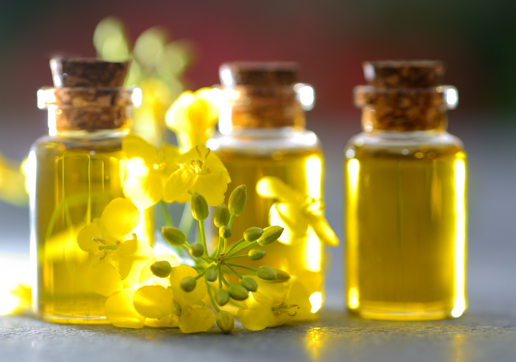 Boccettine di olio di colza con fiori di colza