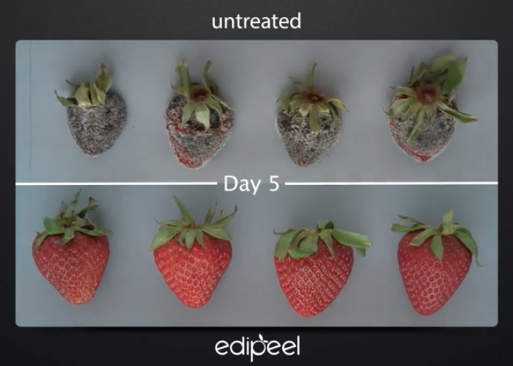 Edipeel fragole Apeel frutta e verdura