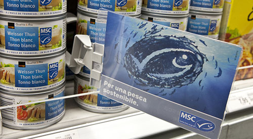 Msc certificazione pesca sostenibile