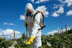 pesticidi erbicidi campi agricoltura uomo