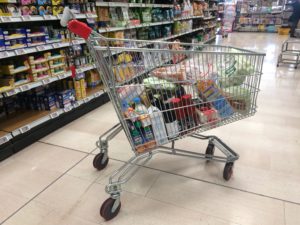 supermercati esselunga carrello