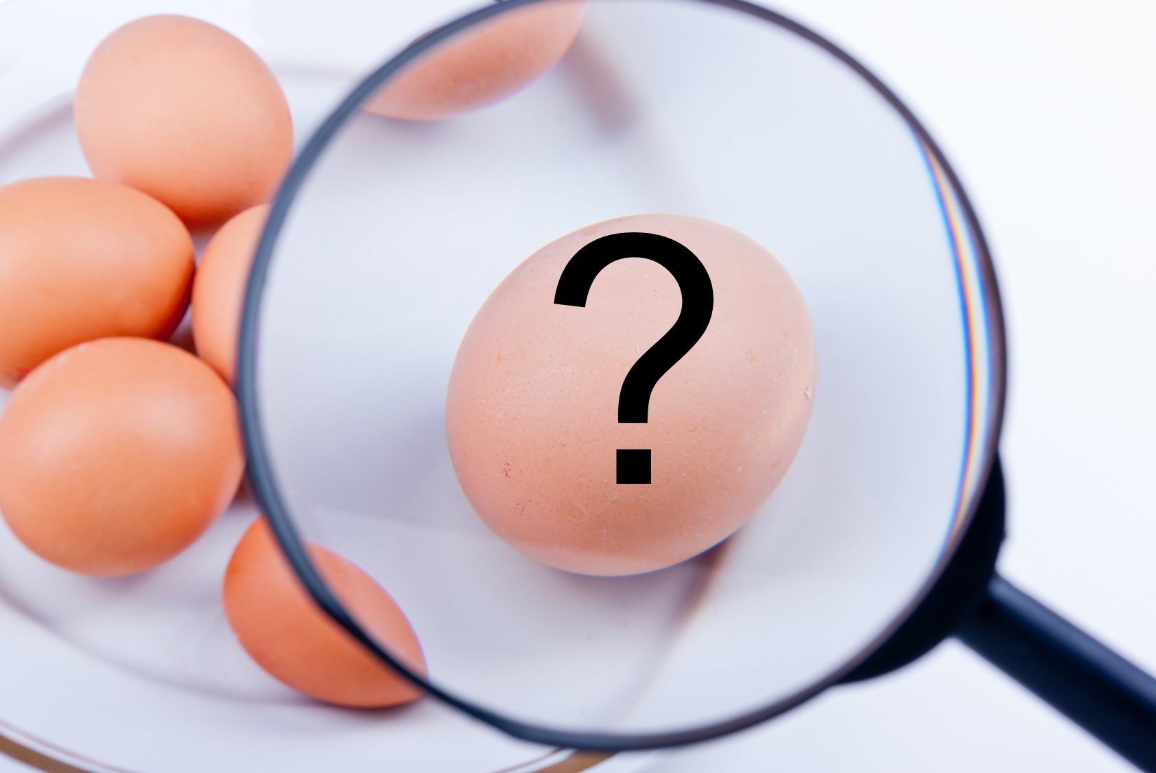 sicurezza degli alimenti