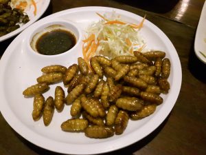 bachi insetti piatto