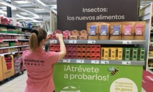 carrefour spagna insetti