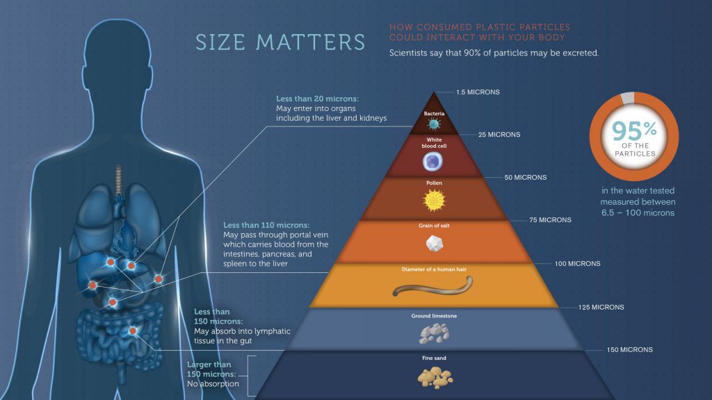 microplastiche orb media salute
