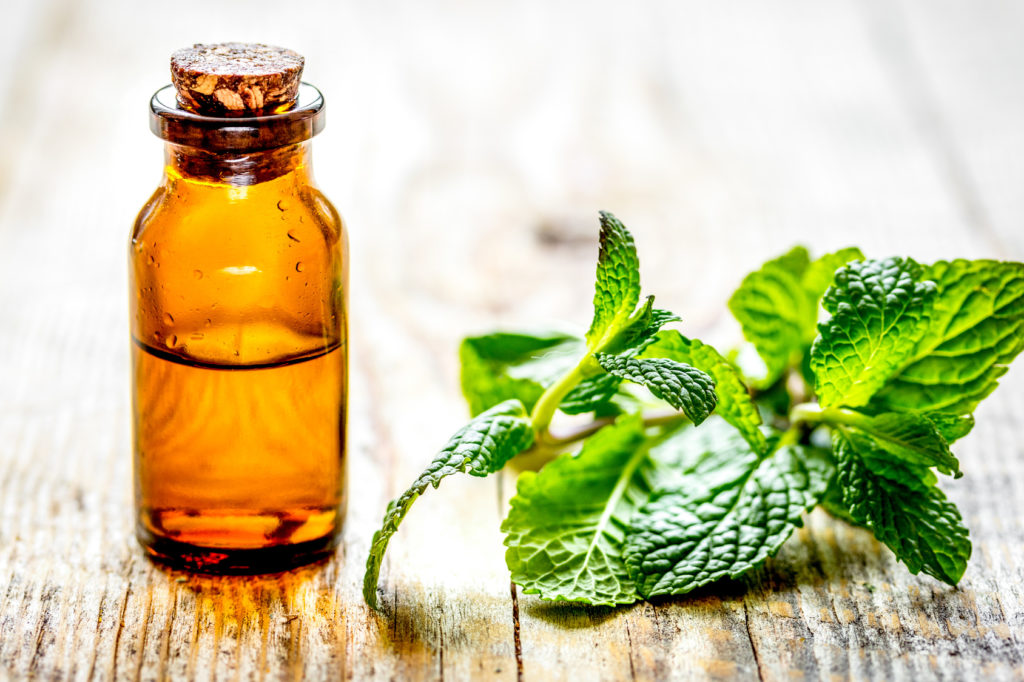 Boccetta con aroma o olio essenziale di menta, accanto a foglie di menta; concept: aromi naturale