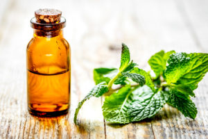 Boccetta con aroma o olio essenziale di menta, accanto a foglie di menta; concept: aromi naturale