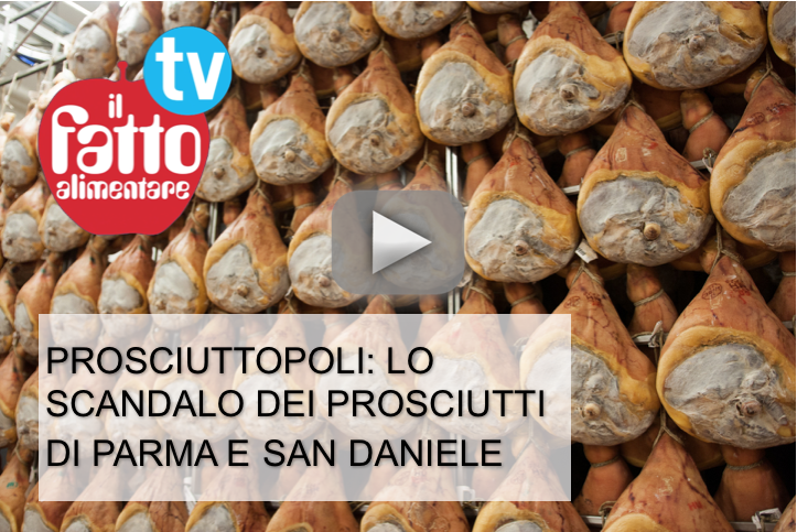 copertina video prosciuttopoli