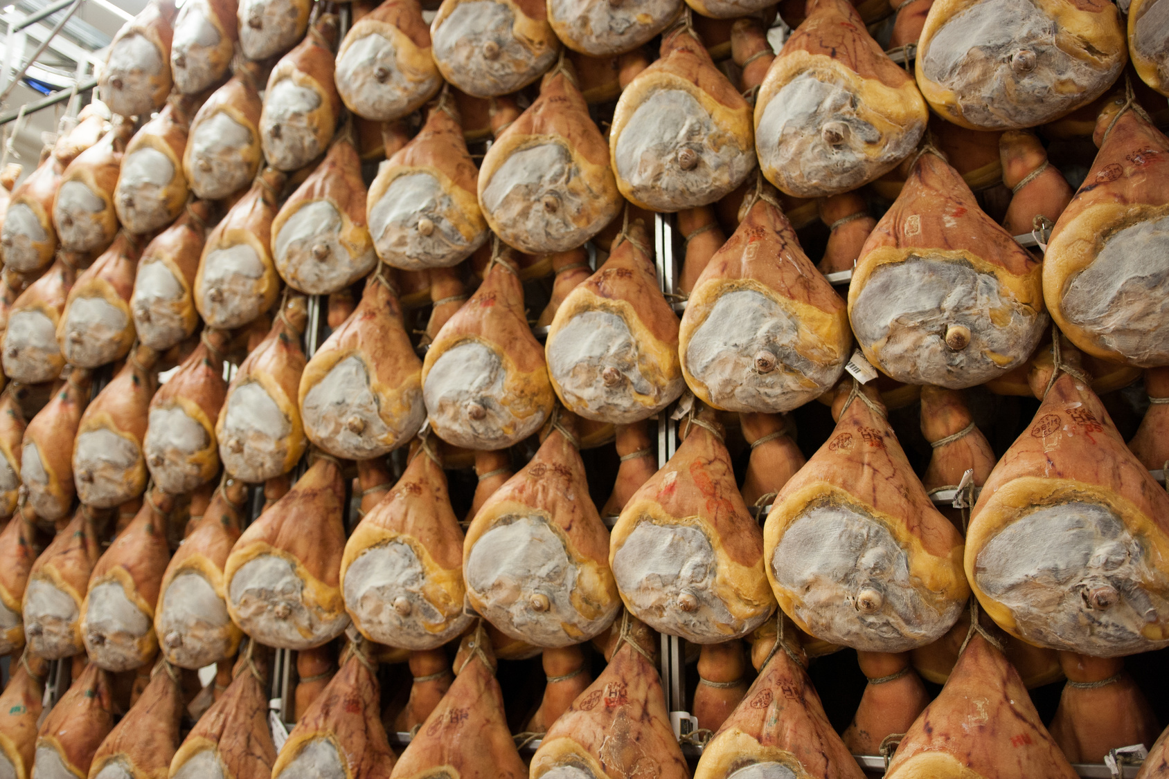 stagionatura cosce di suino per il prosciutto di parma