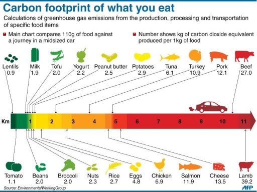 Consumo terreno e co2