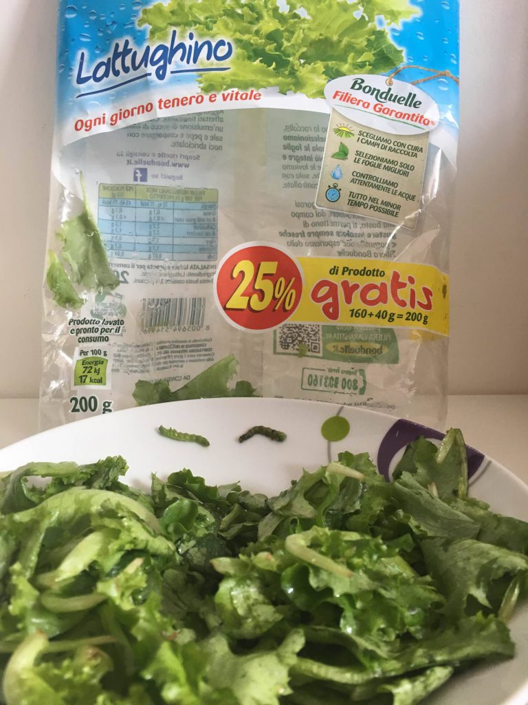 bonduelle bruchi 2018 lettera