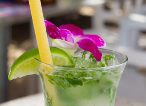 cannuccia pasta cocktail