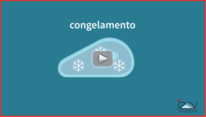 congelamento carne izsve video