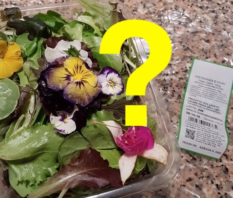 misticanza e fiori insalata 2