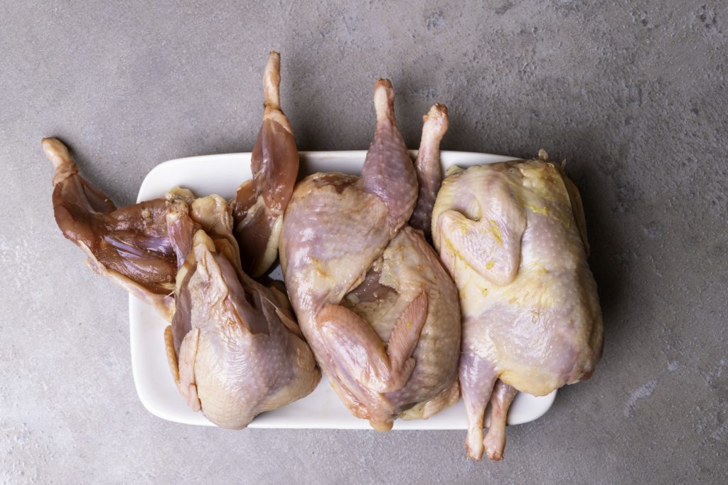 quaglie carne Salmonella