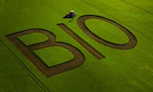 Sana, agricoltura bio biologico campi coltivare