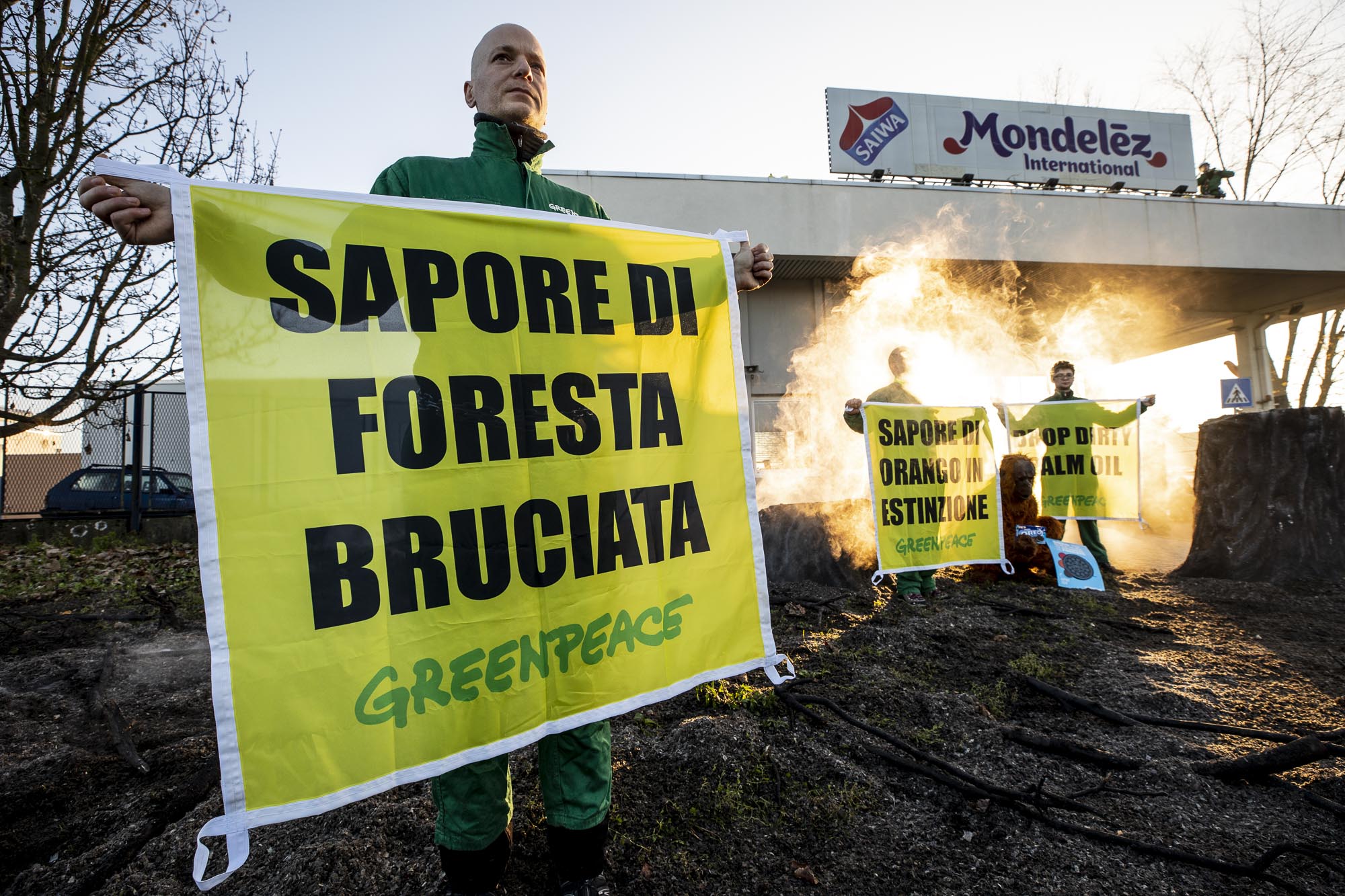 greenpeace mondelez olio di palma deforestazione