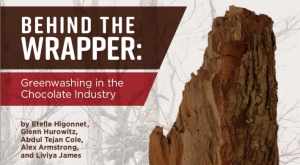 report mighty earth cacao africa