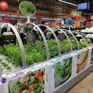 serra aeroponica agricooltur auchan