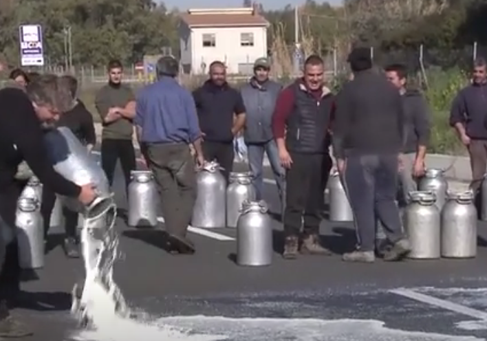 Latte pecora pastori sardi