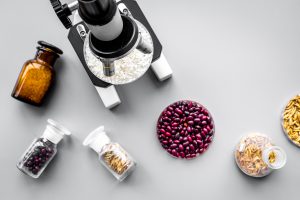 Processo di analisi degli alimenti. Riso al microscopio, fagioli rossi allerta e grano in piastre di Petri su sfondo grigio, vista dall'alto. Concept: sicurezza alimentare