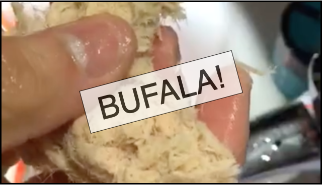 video bufala tonno auriga